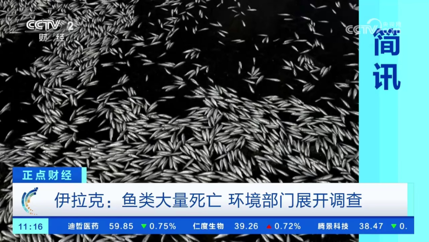 小米SU7 Ultra的杯子被抢光了,2025澳门六开彩开奖历史结果,创新典义解读_优选版V15.37